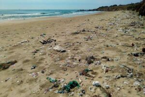 Zanieczyszczenie plastikiem - prawdziwe zagrożenie dla Matki Natury